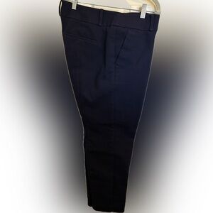 LOFT Midnight Blue Pants
